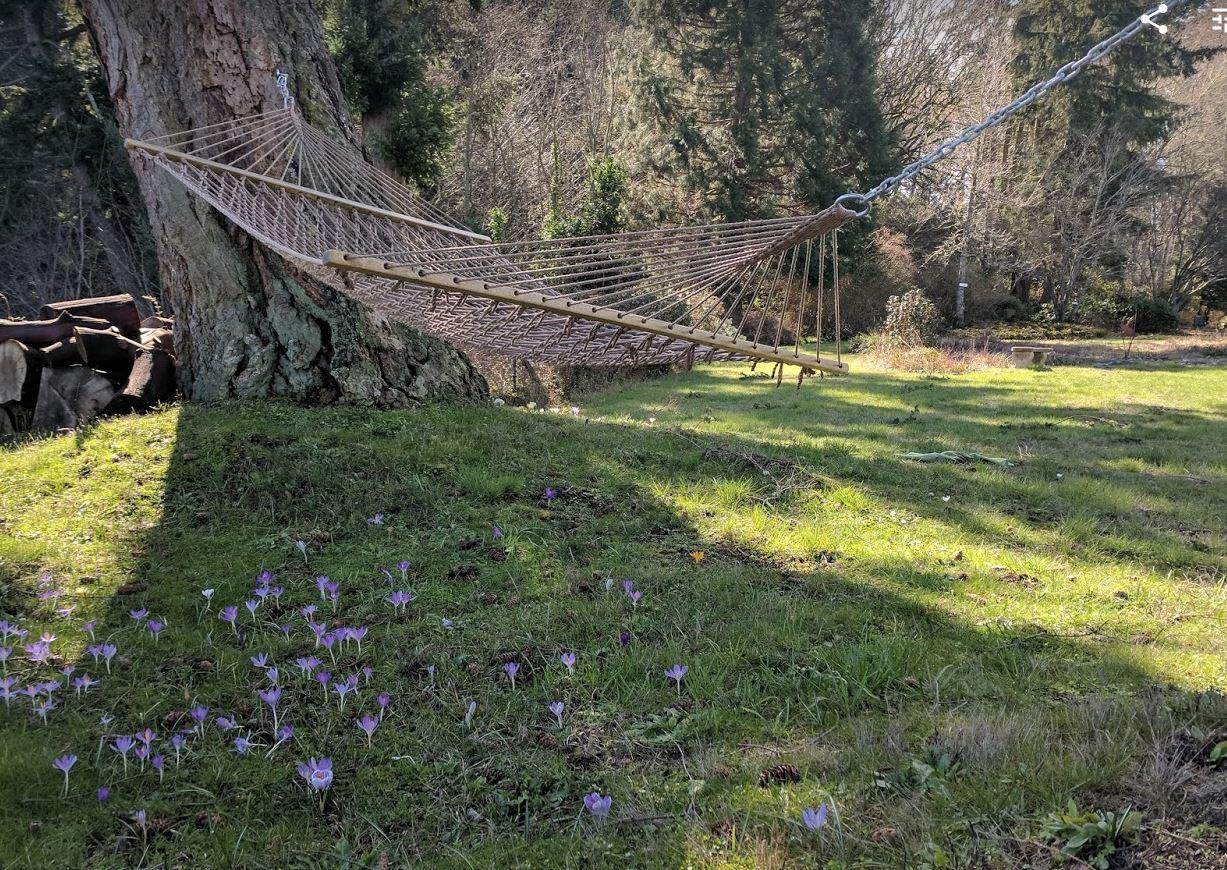 The Bluff On Whidbey Bed & Breakfast โอ๊คฮาร์เบอร์ ภายนอก รูปภาพ