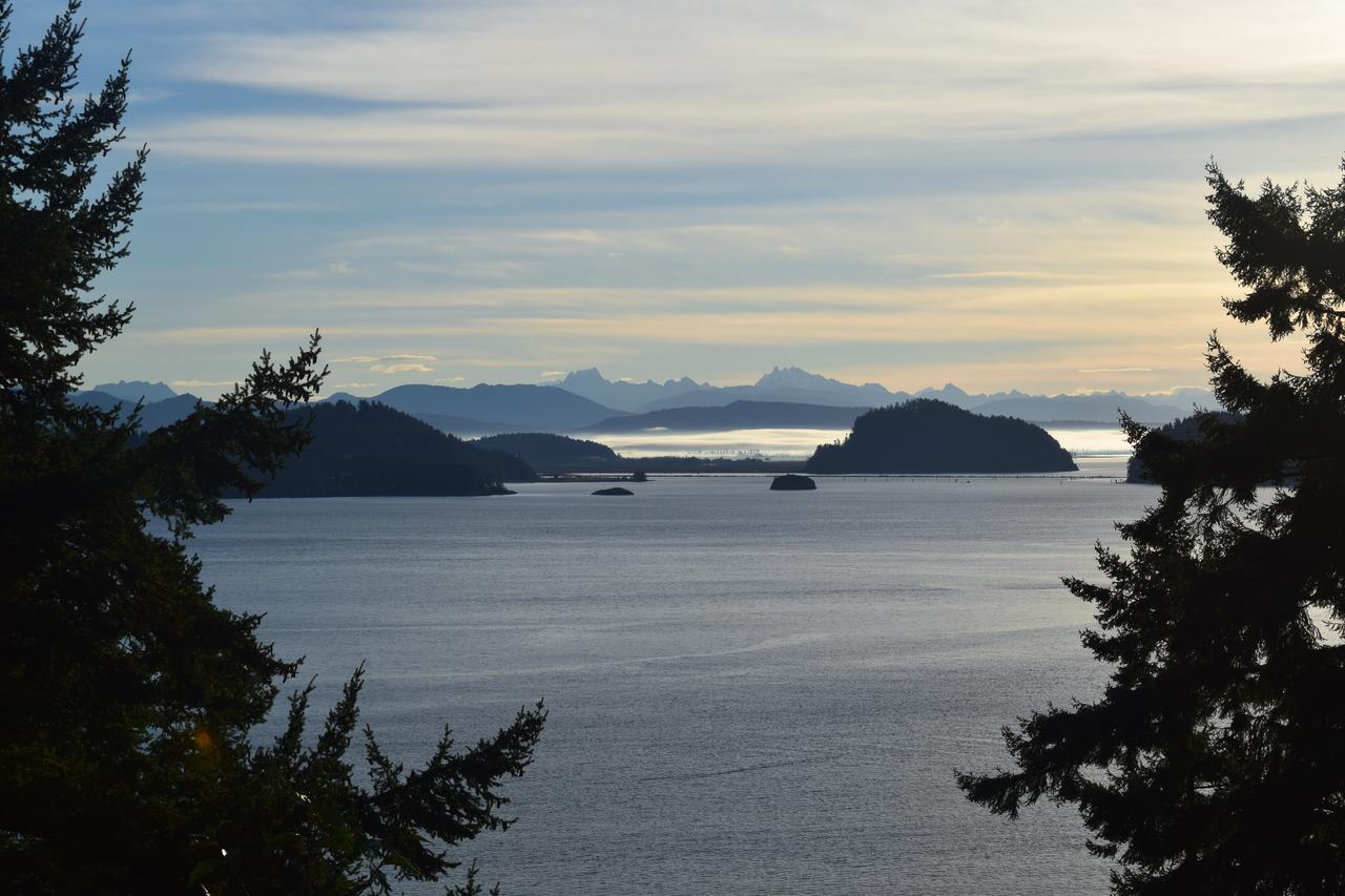 The Bluff On Whidbey Bed & Breakfast โอ๊คฮาร์เบอร์ ภายนอก รูปภาพ