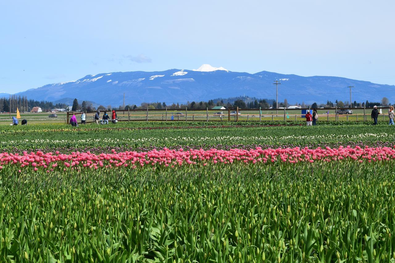 The Bluff On Whidbey Bed & Breakfast โอ๊คฮาร์เบอร์ ภายนอก รูปภาพ